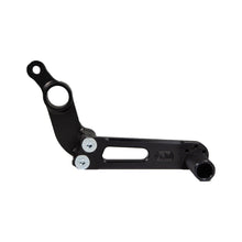 09-0456 Yamaha R6 2017 Brake Pedal Assembly