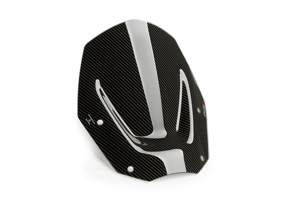 SPORT SCREEN BMW R1300GS 24' C/CARBON LOOK