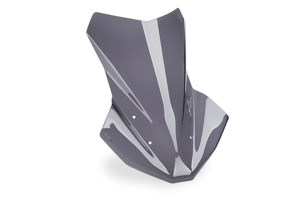 TOURING WINDSCREEN PLUS BMW R1300GS / ADV + PACK W