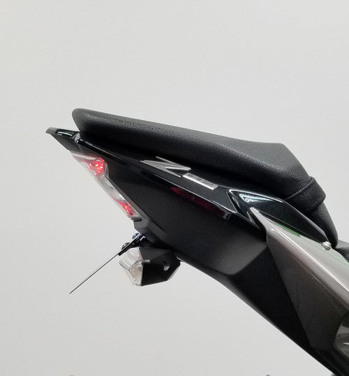 Kawasaki ZH2 Fender Eliminator
