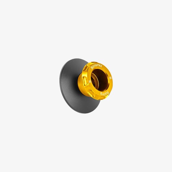 Swing Arm Spools SCR6_GO — Ducati Ducati Streetfighter