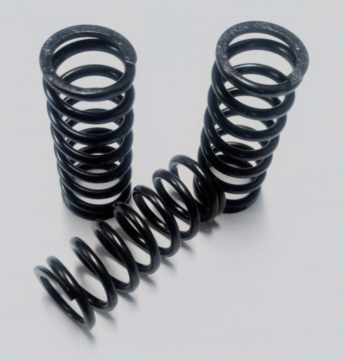 Kawasaki Ninja 400 WORKS Clutch Spring Kit